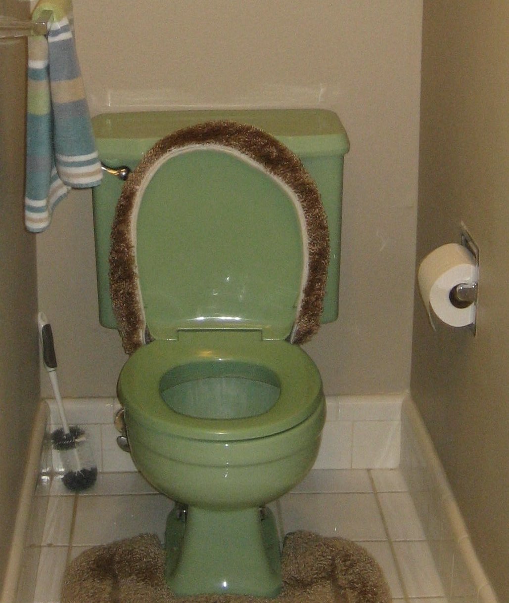 [green+toilet+-+cropped.jpg]