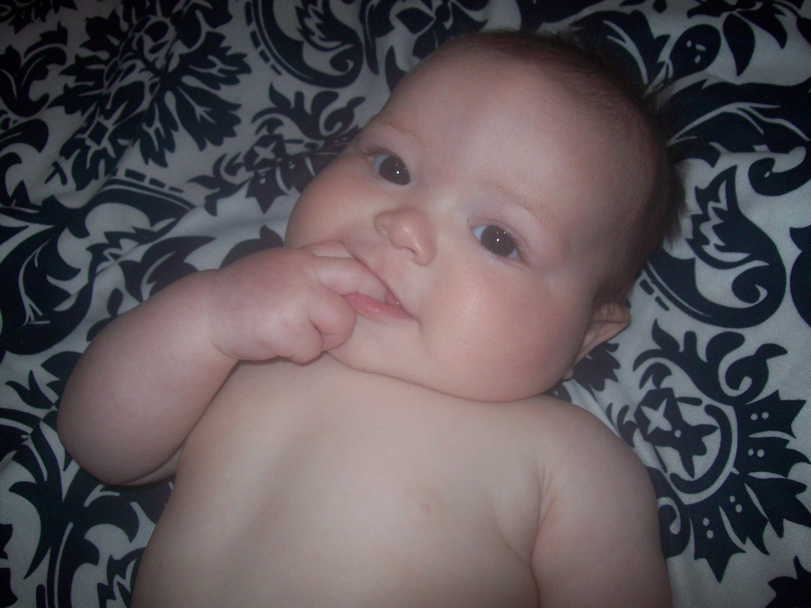 [20090328_40.JPG]