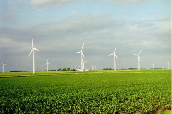 [windfarm.JPG]