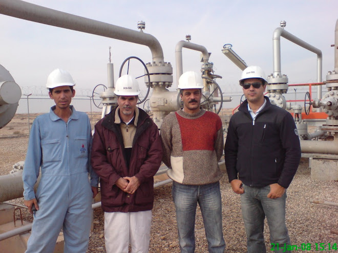 RBI start up project in Iran at Darquain Facilities