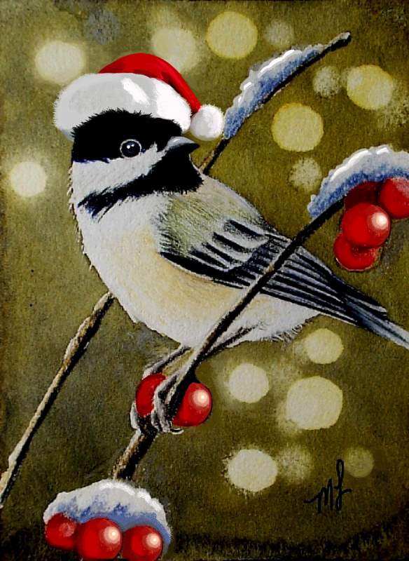 Winter Chickadee Wears A Hat!