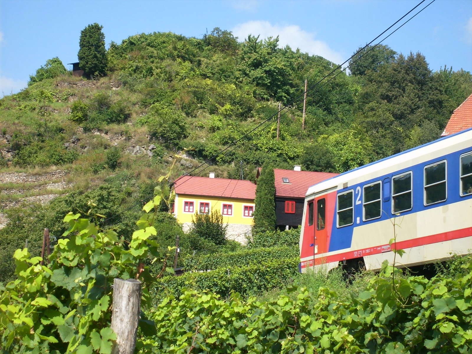 [DSCI0677.JPG]