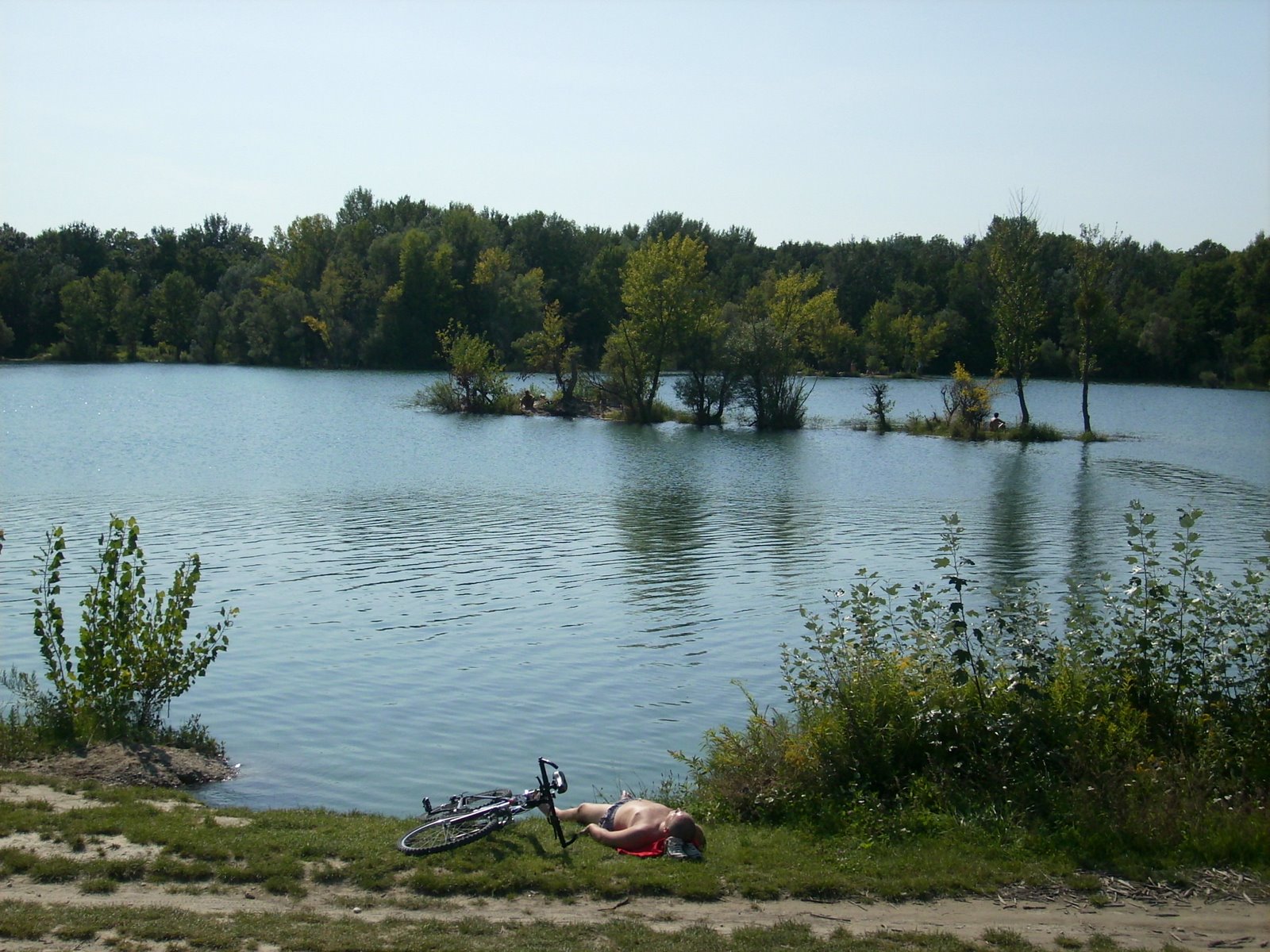[DSCI0570.JPG]