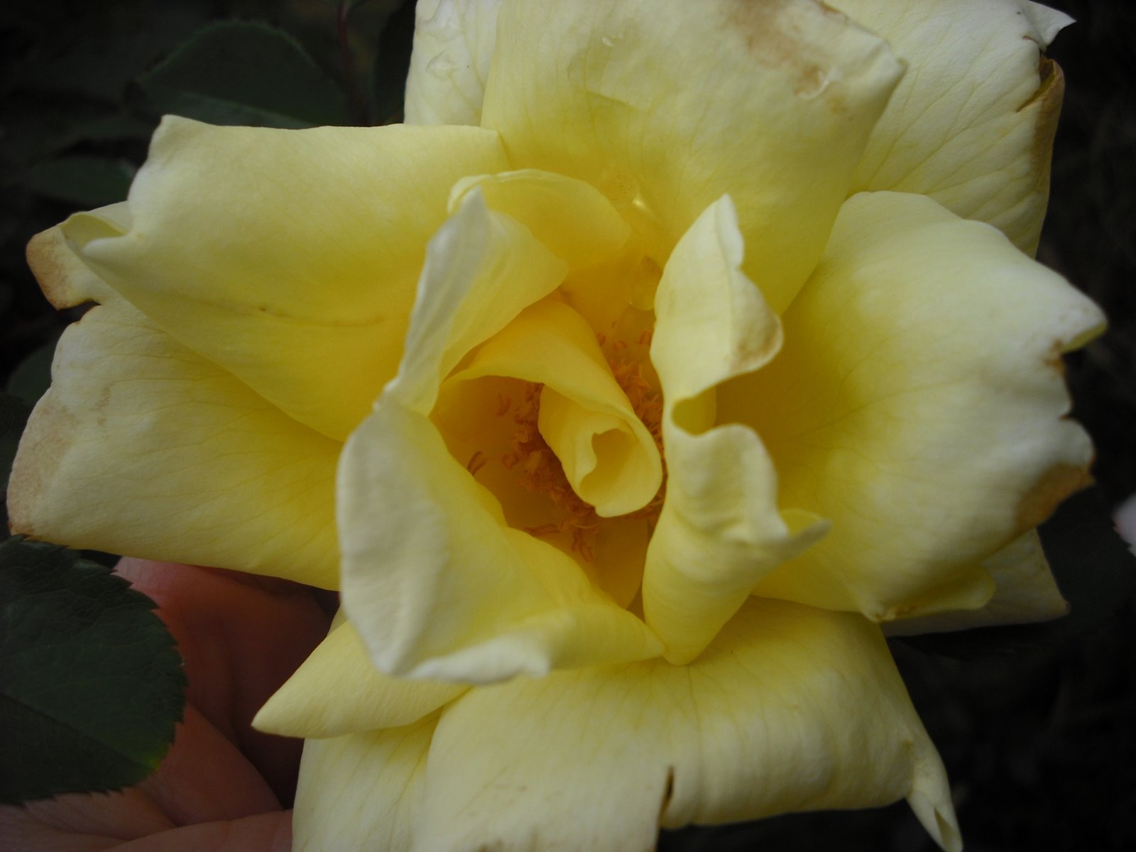 [DSCF0479.JPG]