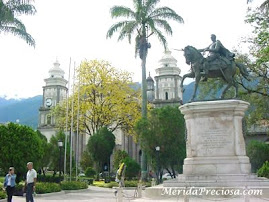 Plaza Bolivar en la actualidad