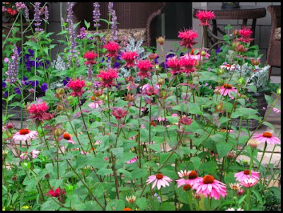 Perennial Garden Design Ideas on Garden Forums And Blogs Are Filled With Great Design Ideas