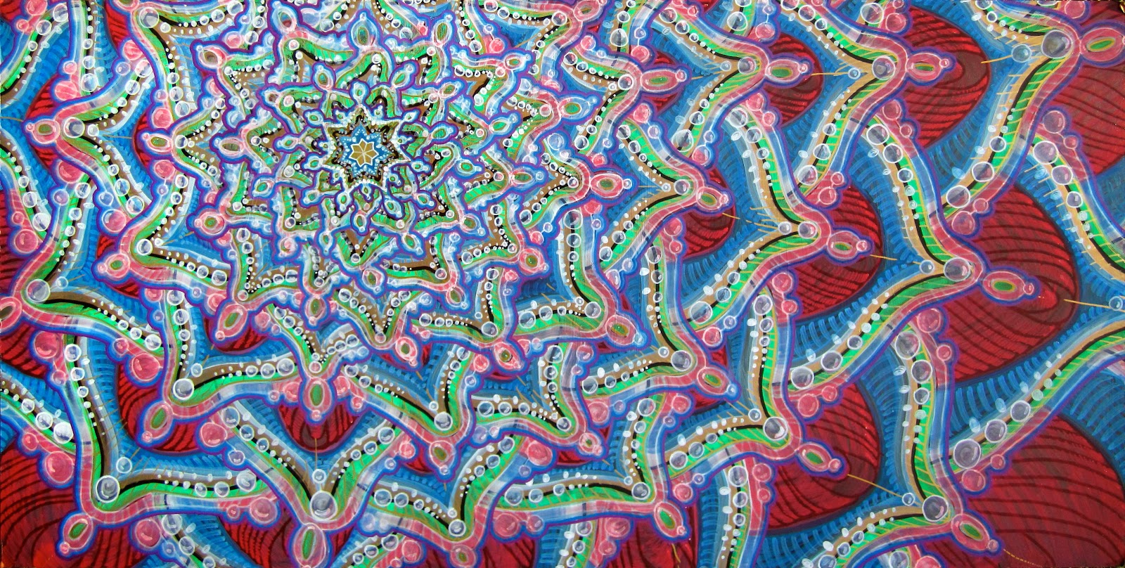 Rainbow Chrysanthemum