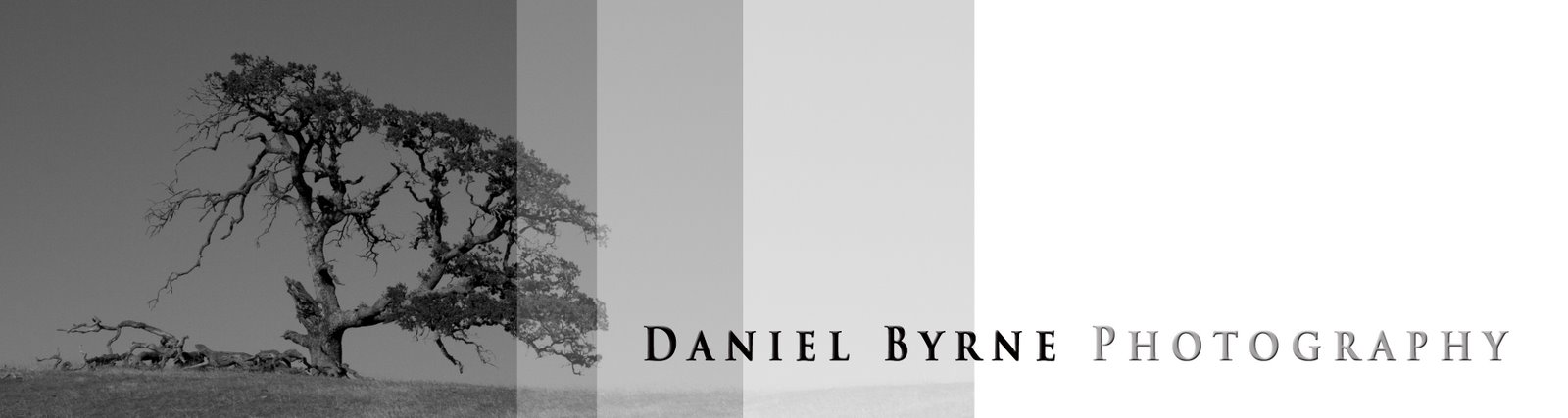 Daniel Byrne Photography