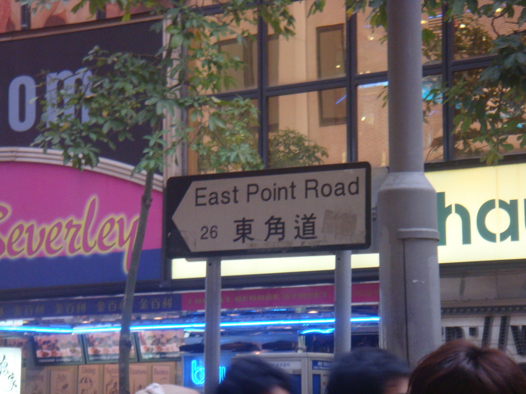 [DSC04873.JPG]
