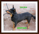 JULIÁN ADOPTADO!!!