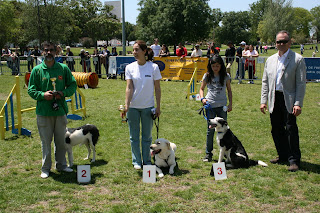 42º Trofeu de Agility 42º Trofeu de Agility