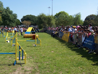42º Trofeu de Agility 42º Trofeu de Agility