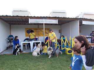 stand do clube Os Cãogurus