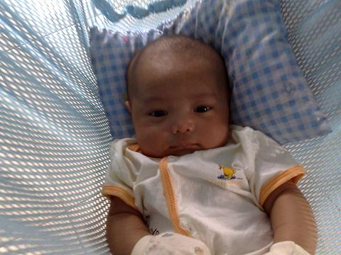 ariq 1 bulan