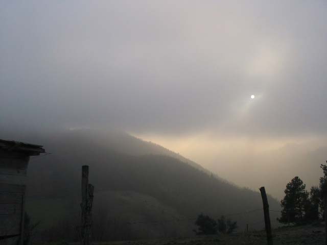 cerco amore gratis zingara