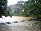 අසිරිය විදගමු