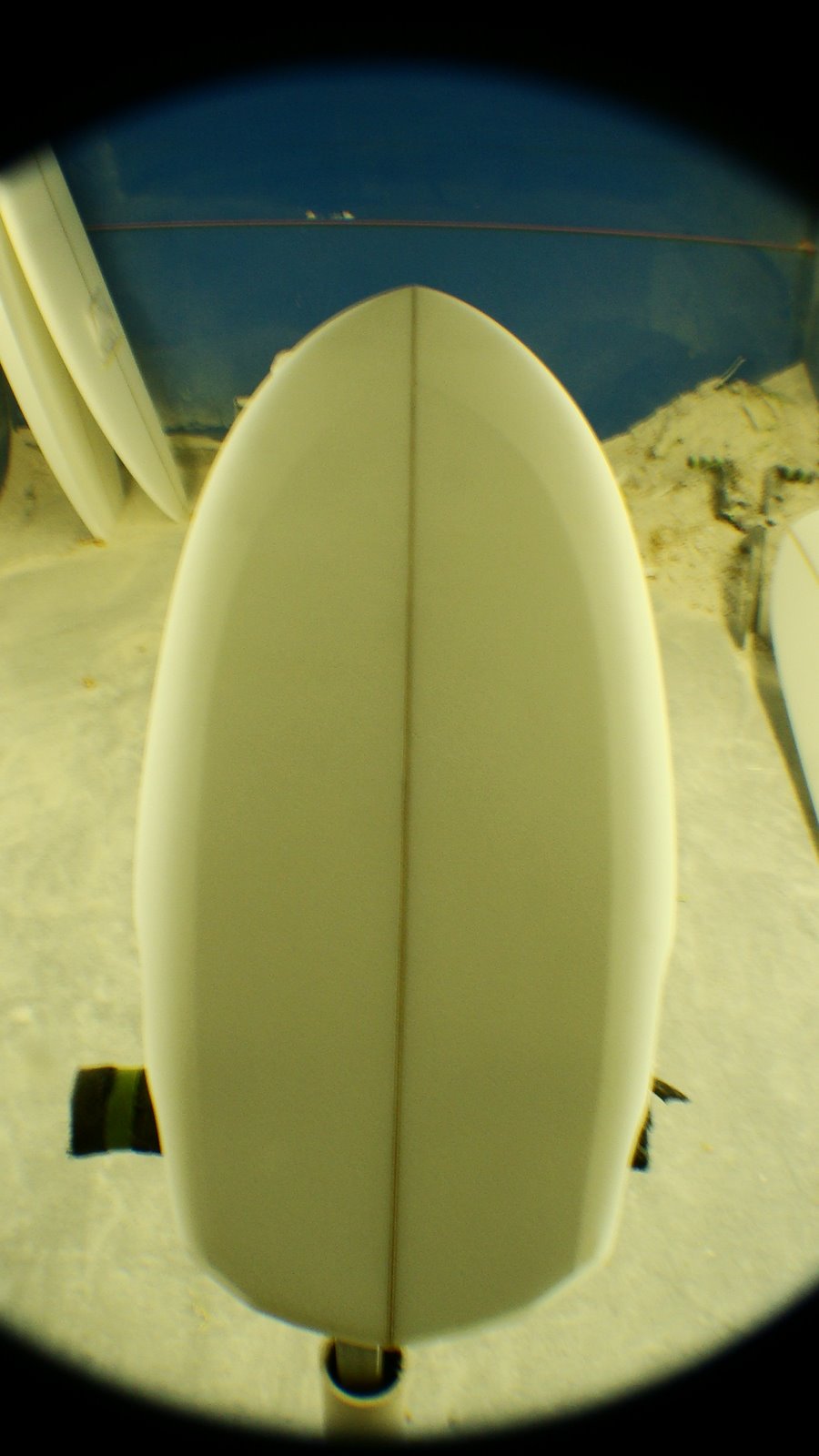 [DSC04380.JPG]