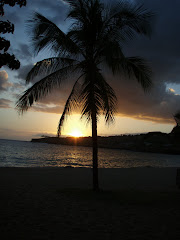 Hulopoe Palm @ Sunset