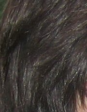 [IMG_04991.JPG]