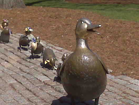 [=?utf-8?B?SU1HMDAxMzYuanBn?=-724666]