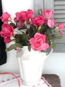 Pretty Roses