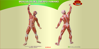 external image MDCH.png external image MDCH.png