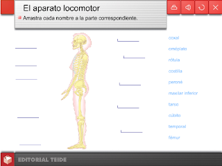 external image EAL.png external image EAL.png