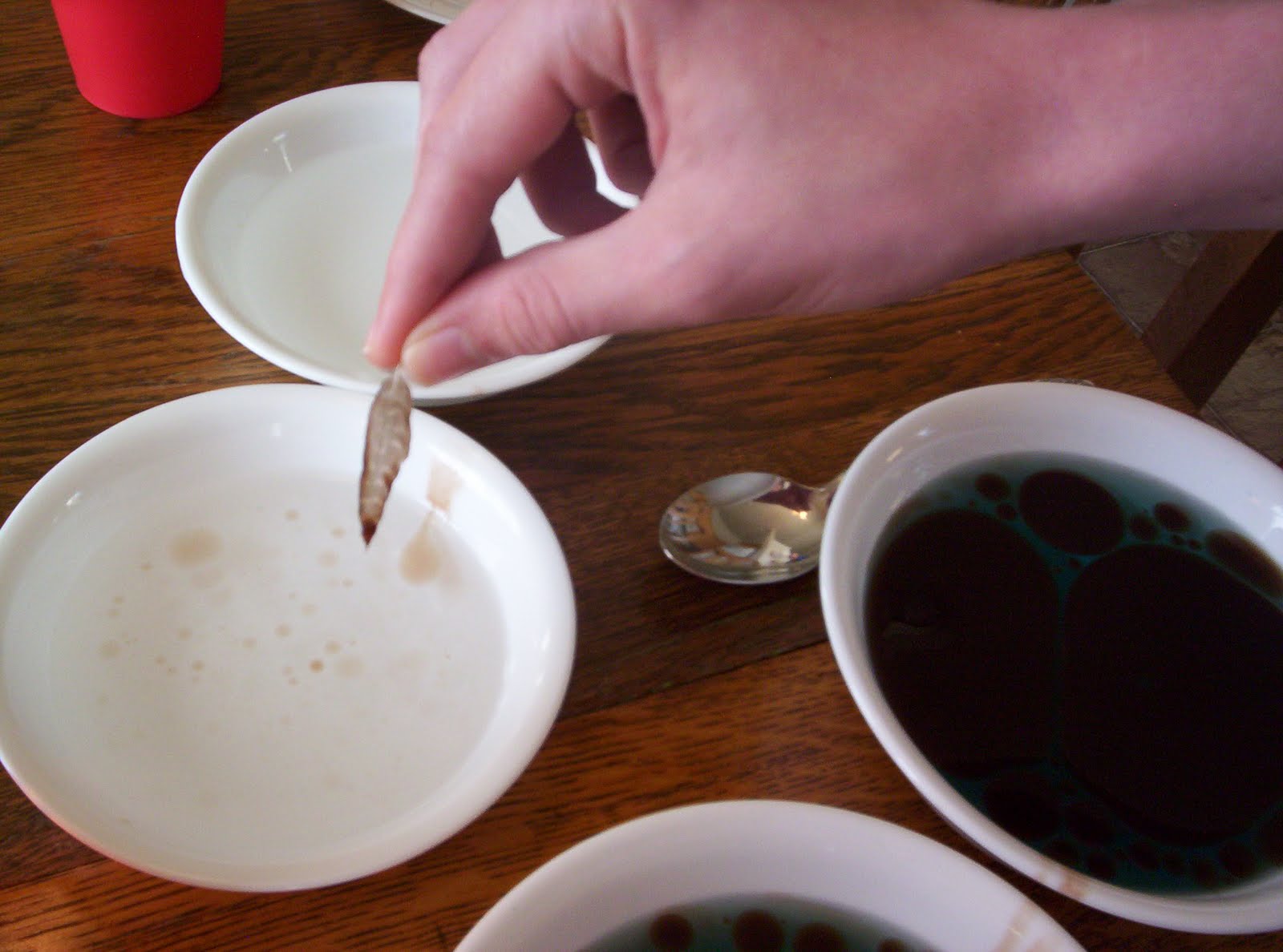 Almost Unschoolers Oil Spills and Advertising, a Grease Fighting Experiment