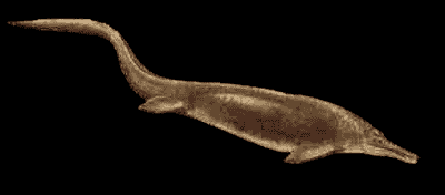Ictiosaurio Ictio_02