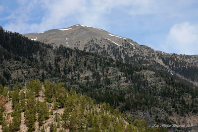 Around The Bend Friends Mt Charleston Peak Raintree 08 27 09