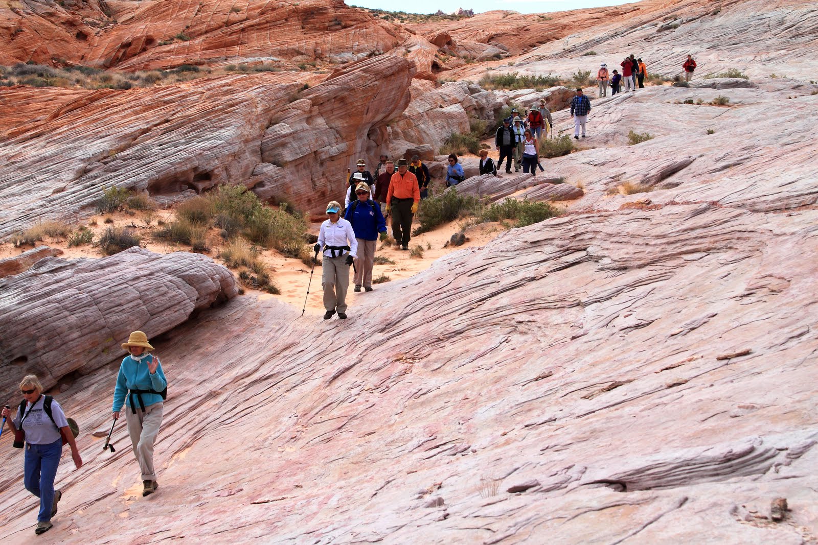 Woyzeck essay questions 03 picture