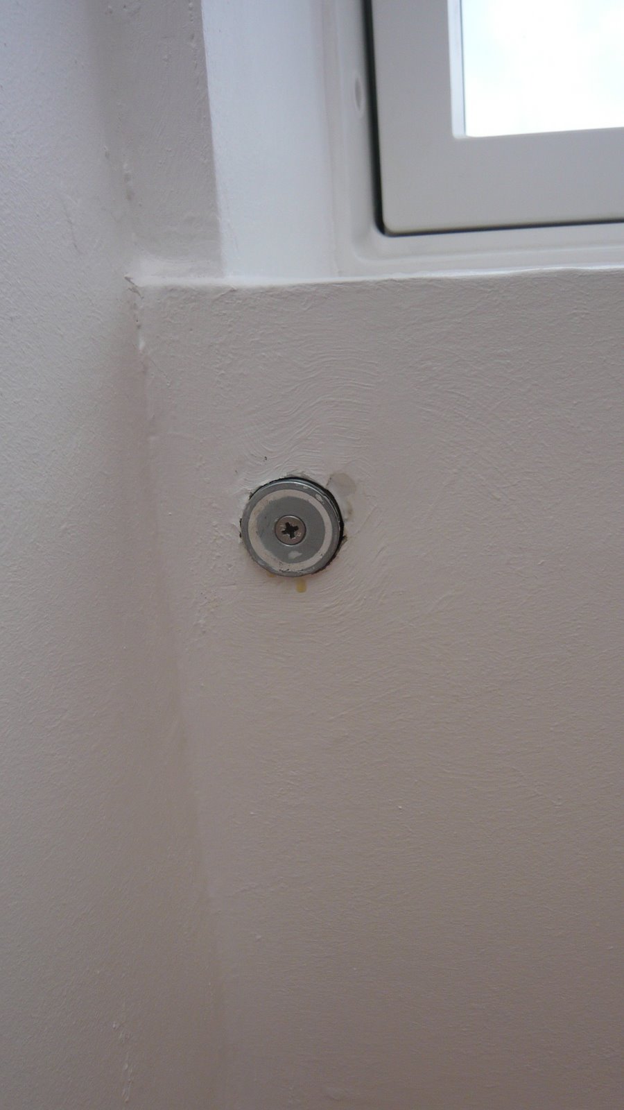 Mopsis Baublog: Juni 2010