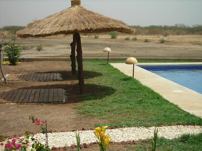 la vue sur la savane