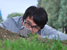 Mi foto