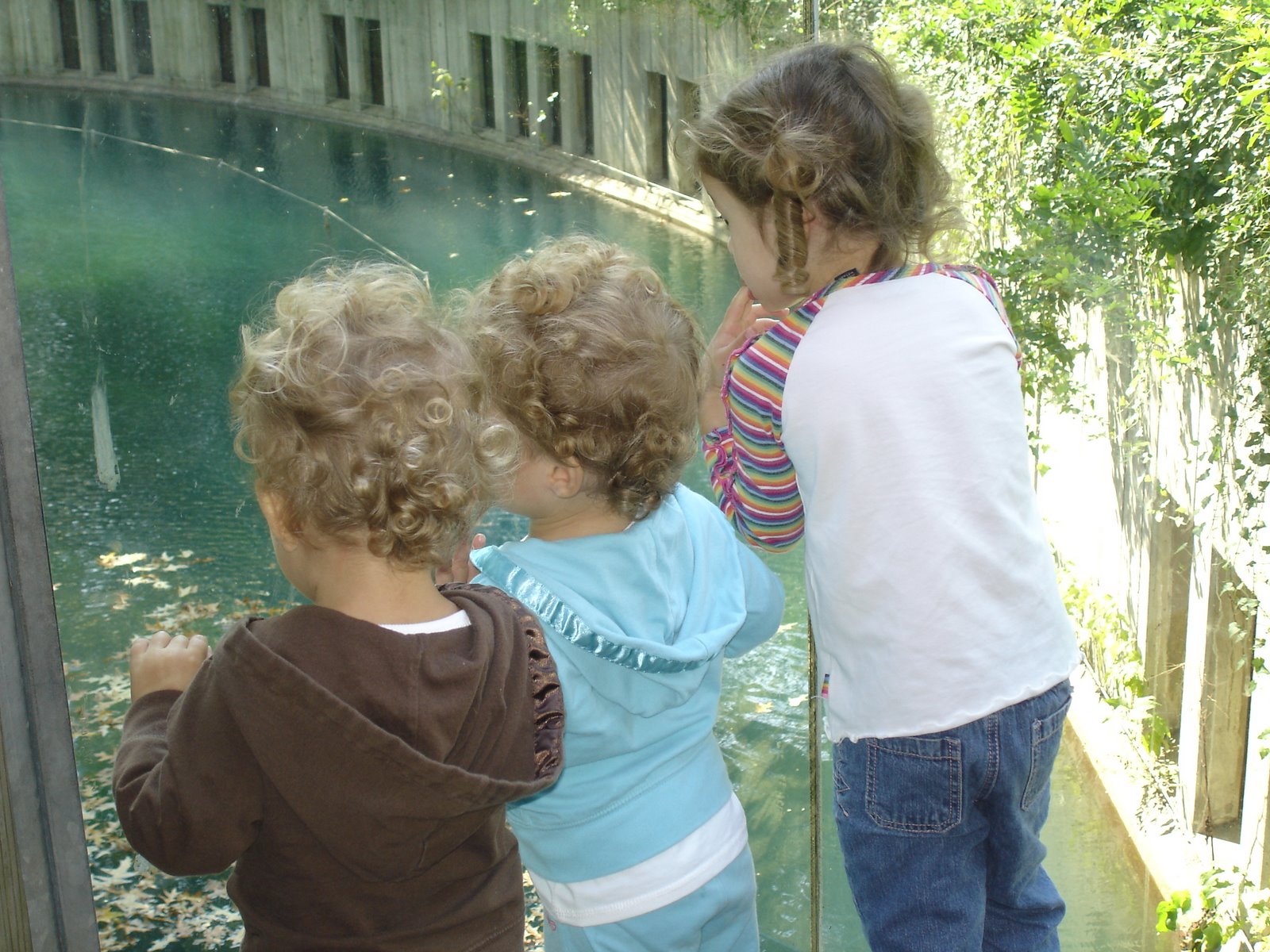 [DSC09800.JPG]