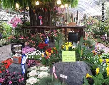 Booth of King Louis Flowers & Plants