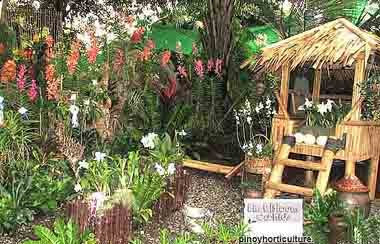 Exhibit Booth of First Bloom Orchids