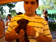 Cachorrito adoptado