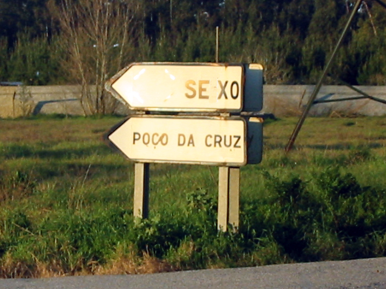 [IMG_1494.JPG]