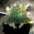 [Moldavite+1.jpg]