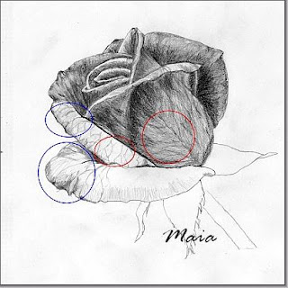 How to draw a rose in five steps-drawing lesson Texture+drawing