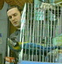 [pythonparrot.jpg]