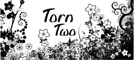 TornTwo