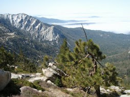 View from the trail