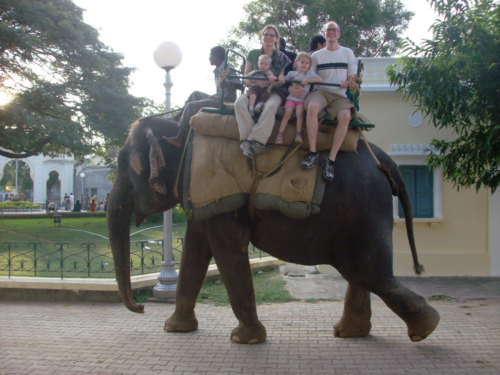 Chadwicks' Picture Place Mysore Palace Elephant, Camel and Pony Rides