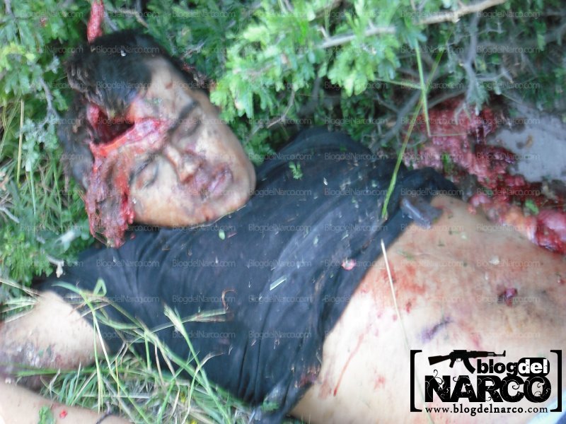 el blog del narco videos decapitados el blog del narco videos decapitados