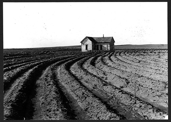 [Dorothea+Lange.jpeg]