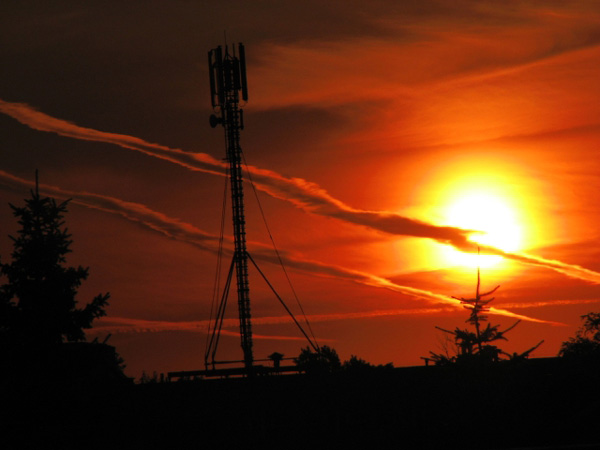 [Mateusz+Przywecki..jpeg]