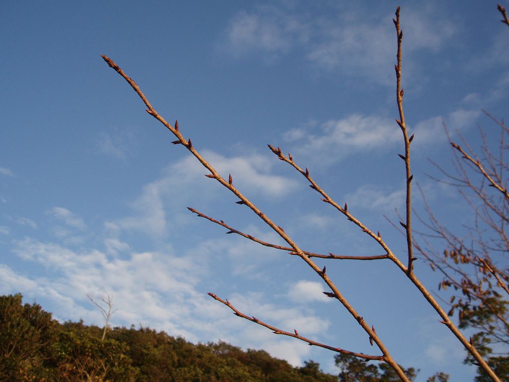 [PC100015_R.JPG]