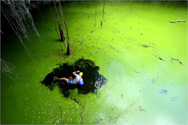 اللون الأخضر Verde+%281%29